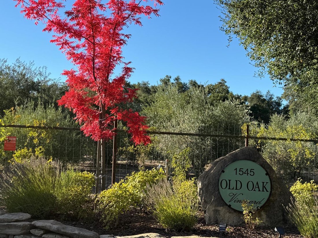 House in Paso Robles, California, United States 3 - 17418602