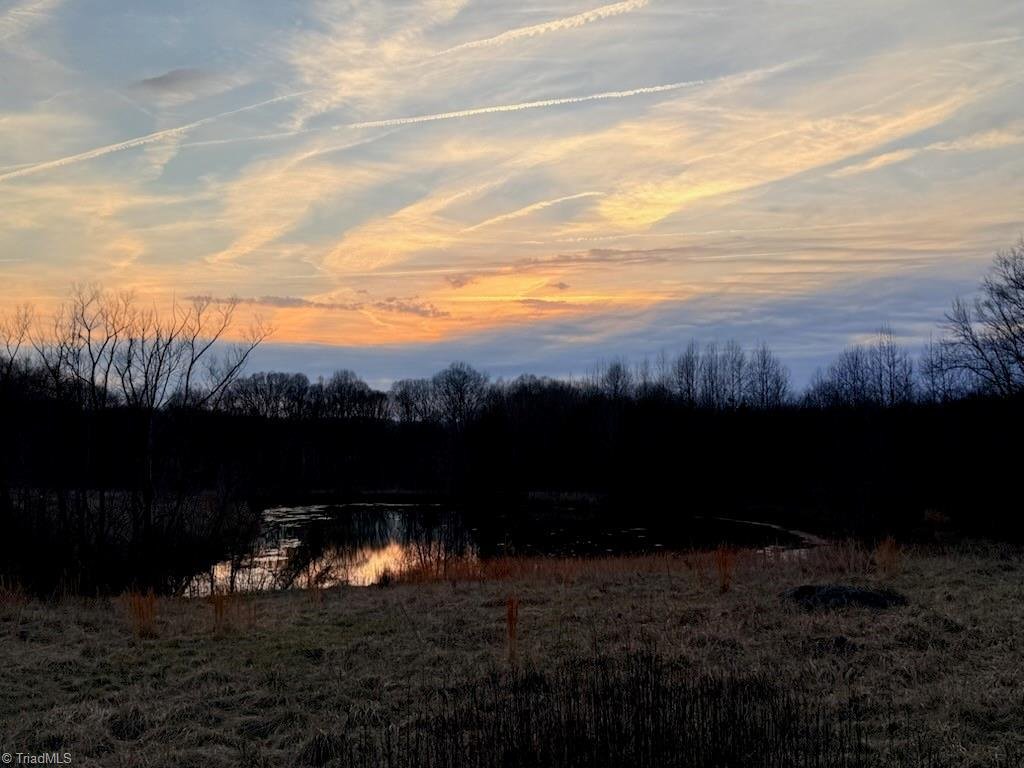 Liberty, North Carolina, United States 2 - 17413540