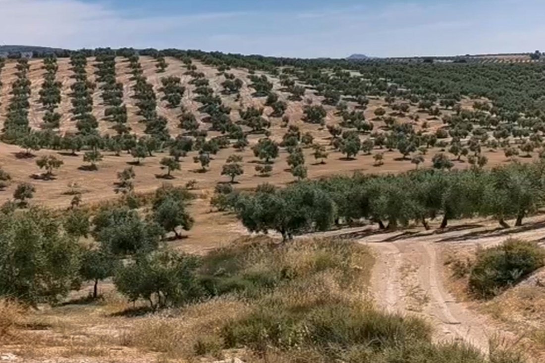 Land in Huelma, Andalusia, Spain 5 - 17410638