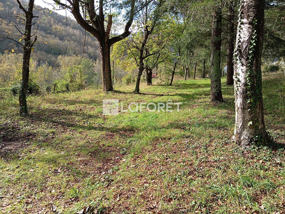 Land in Prats-de-Mollo-la-Preste, Occitania, France 3 - 17410504