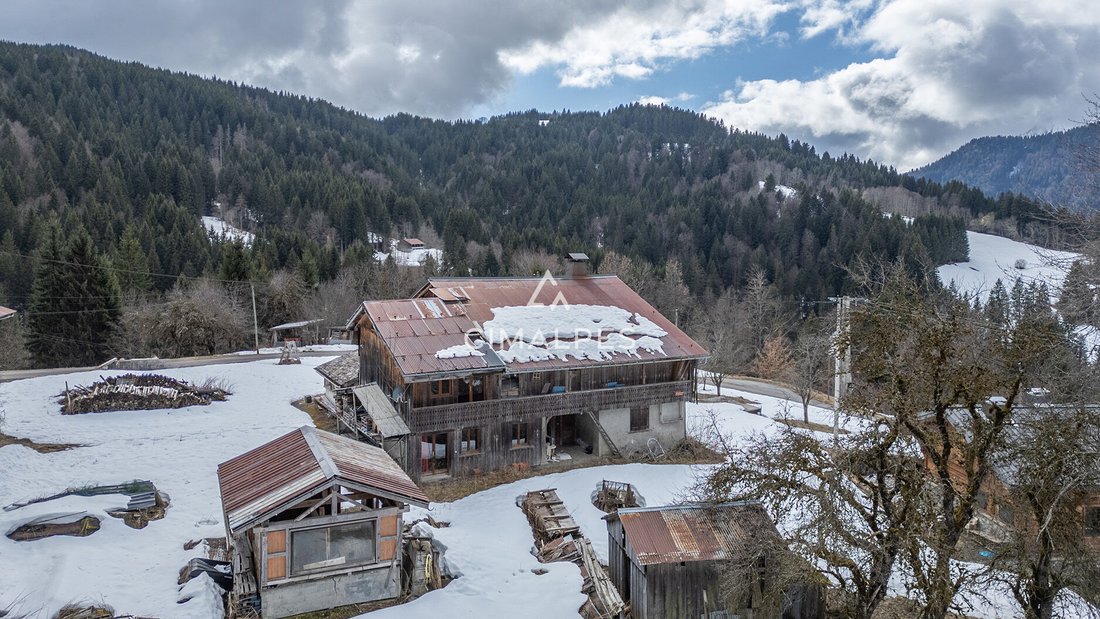 Villa in Les Gets, Auvergne-Rhône-Alpes, France 2 - 17410608