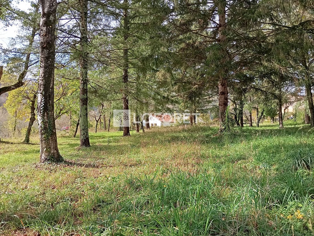 Land in Prats-de-Mollo-la-Preste, Occitania, France 2 - 17410504