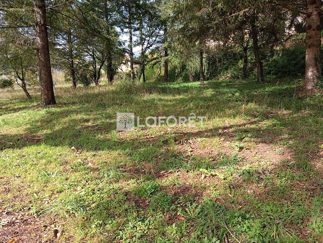 Land in Prats-de-Mollo-la-Preste, Occitania, France 1 - 17410504