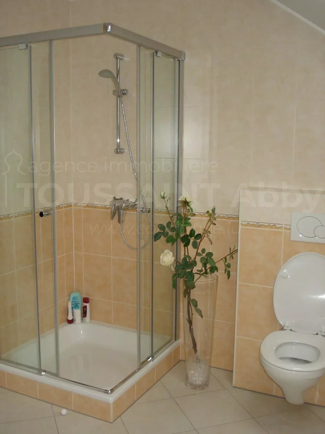 Apartment in Mersch, Mersch, Luxembourg 5 - 17404258
