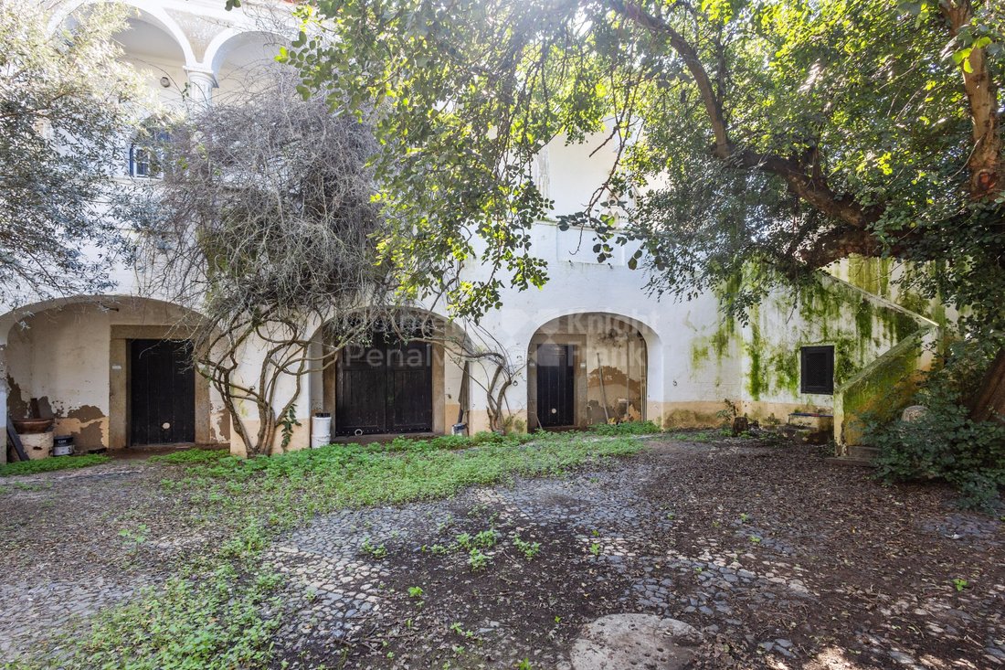 House in Reguengos de Monsaraz, Évora District, Portugal 3 - 17421739