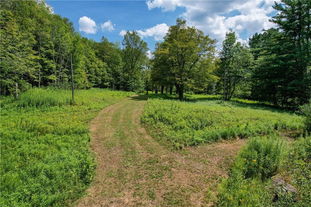 Land in Fleischmanns, New York, United States 5 - 17420517