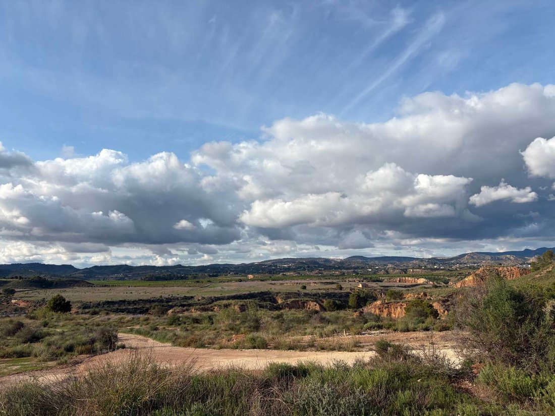 Finca in Mula, Región de Murcia, Spain 1 - 17421701