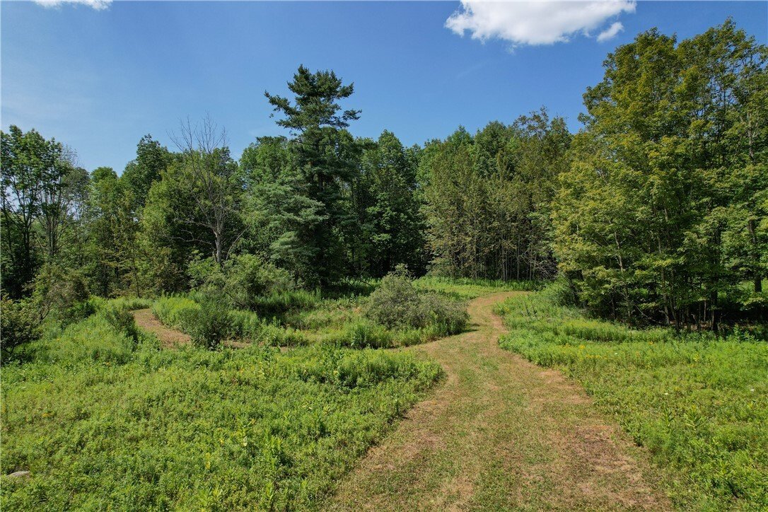 Land in Fleischmanns, New York, United States 4 - 17420517