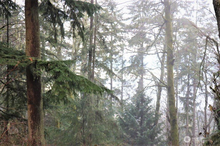 Land in Bellevue, Washington, United States 4 - 17413212