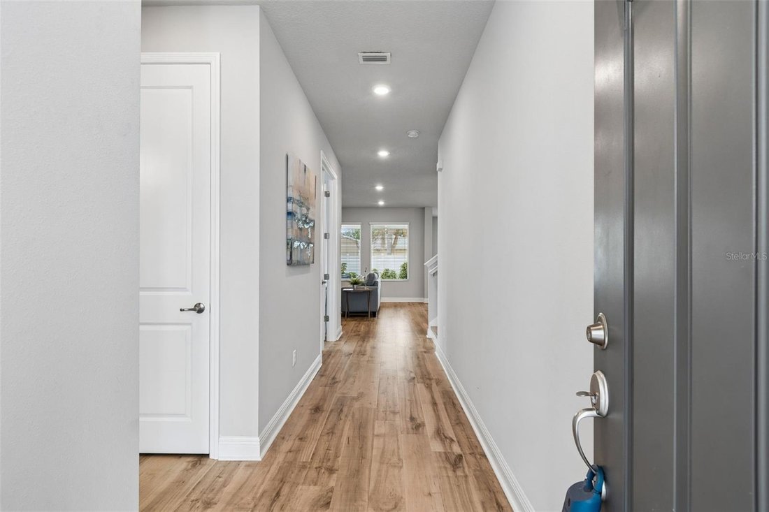 House in Tampa, Florida, United States 5 - 17417307
