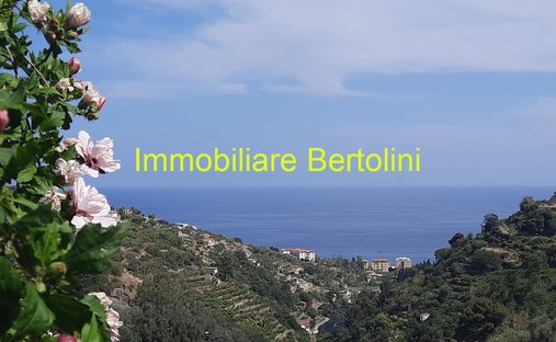 Villa a Bordighera, Liguria, Italia 1