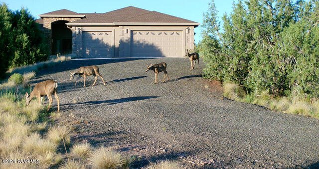 House in Prescott, Arizona, United States 1 - 17413400