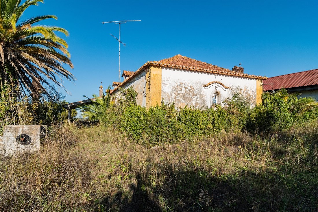Farm Ranch in Achete, Azoia de Baixo e Povoa de Santarem, Santarem District, Portugal 3 - 17412617