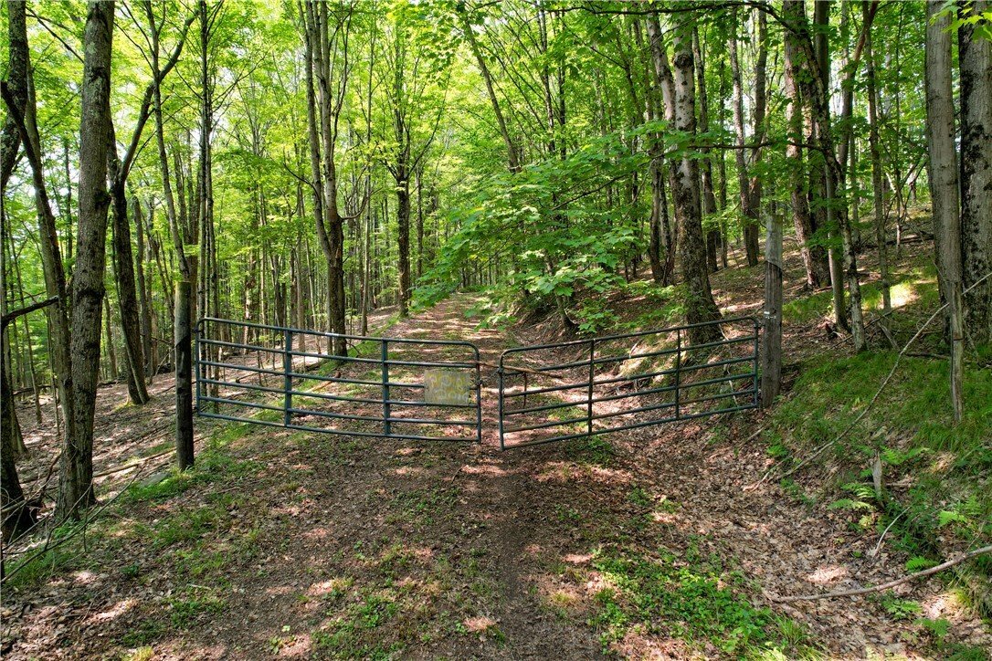 Land in Fleischmanns, New York, United States 1 - 17420517
