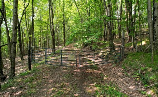 Terreno a Fleischmanns, New York, Stati Uniti 1
