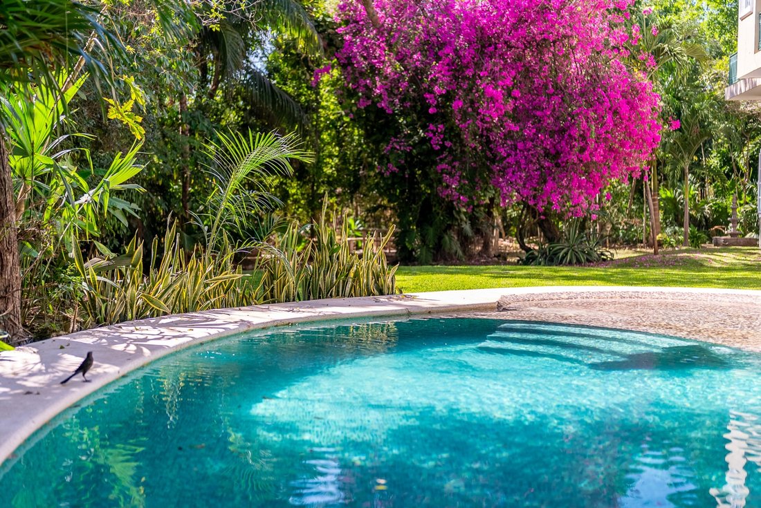 House in Playa del Carmen, Quintana Roo, Mexico 3 - 17411397