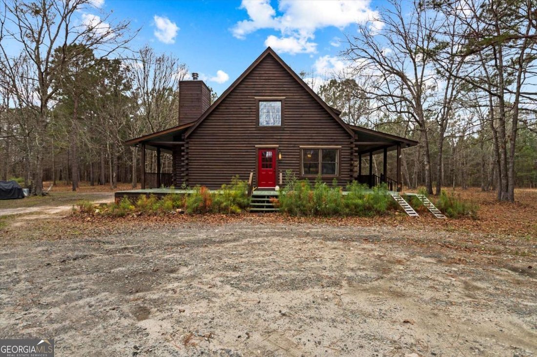 Farm Ranch in Hawkinsville, Georgia, United States 1 - 17411619