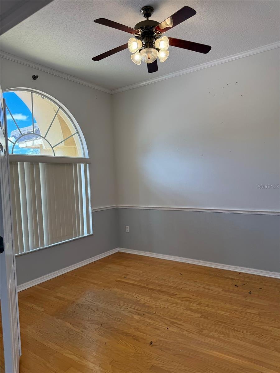 House in Tarpon Springs, Florida, United States 5 - 17418409