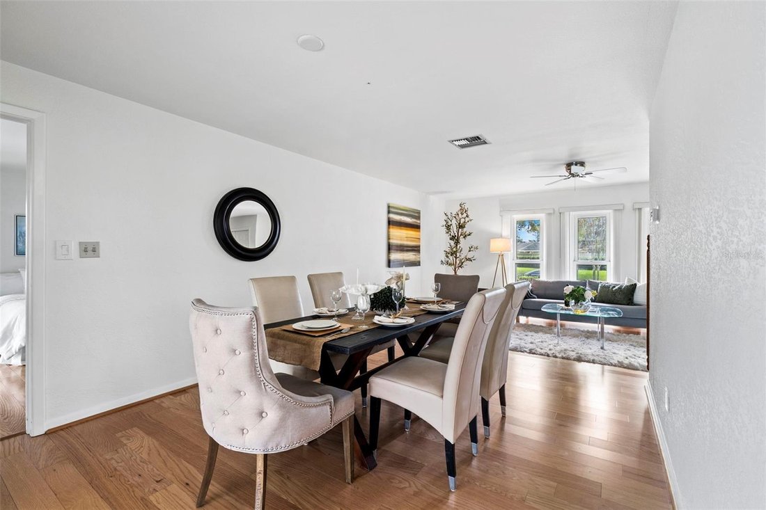 House in St. Petersburg, Florida, United States 4 - 17418330