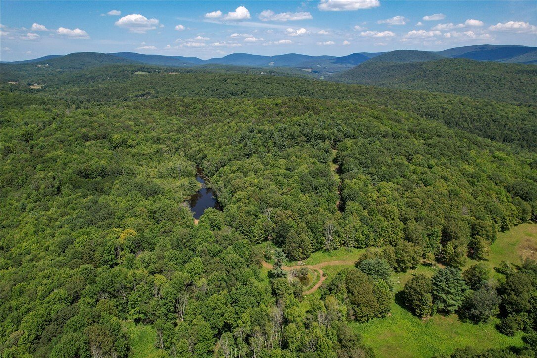 Land in Fleischmanns, New York, United States 3 - 17420517