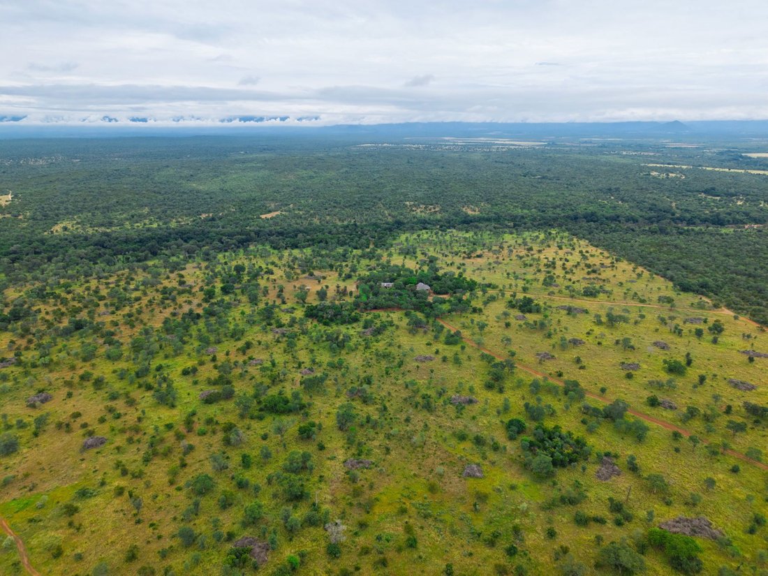 House in Tzaneen, Limpopo, South Africa 5 - 17412019