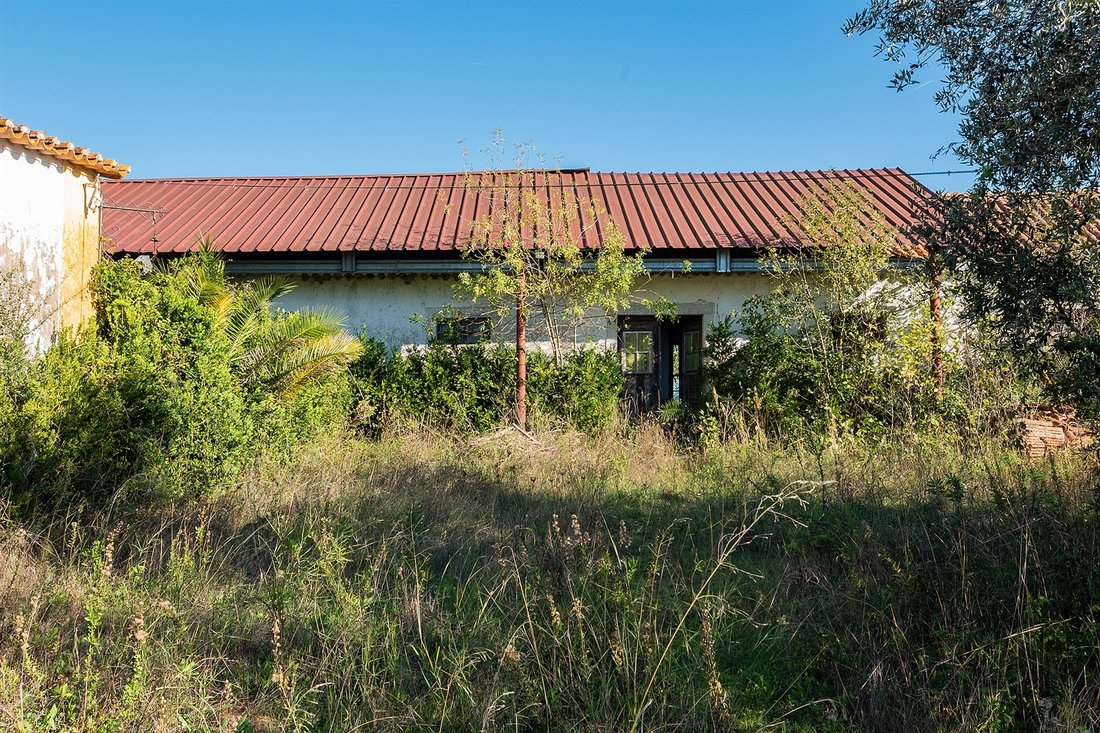 Farm Ranch in Achete, Azoia de Baixo e Povoa de Santarem, Santarem District, Portugal 5 - 17412617