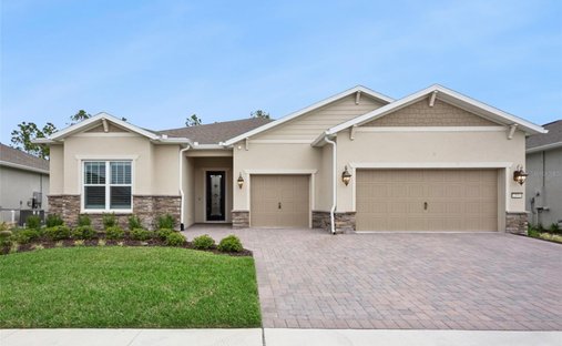 House in St. Cloud, Florida, United States 1