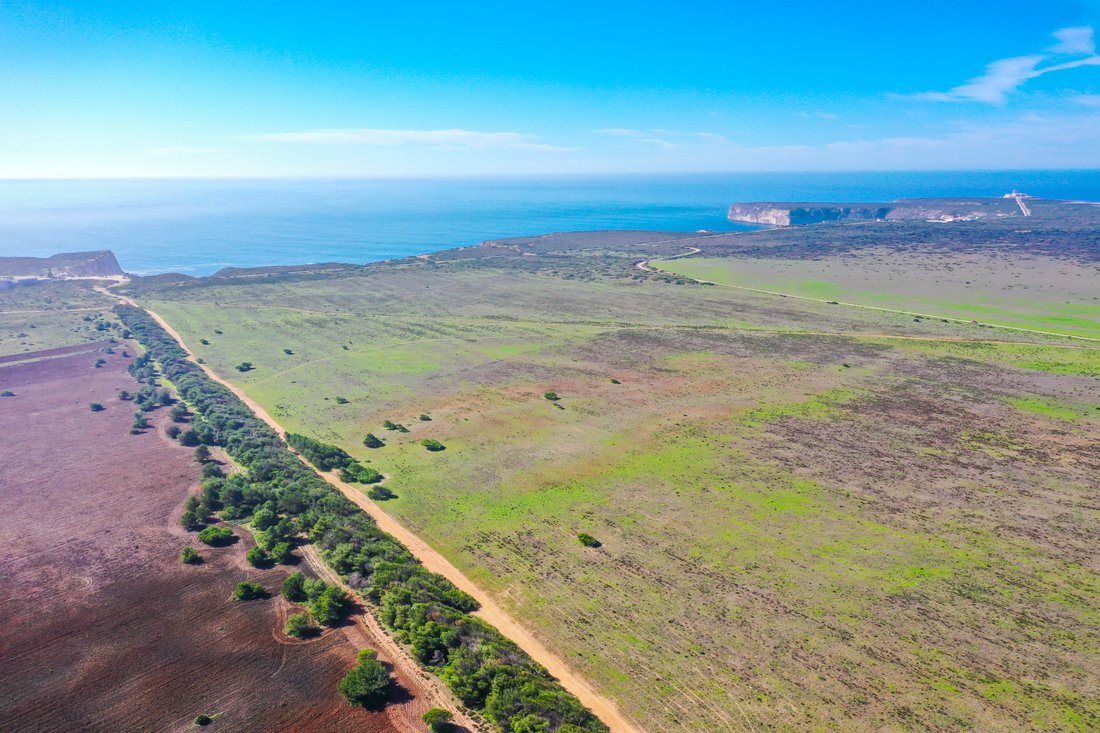 Land in Sagres, Algarve, Portugal 2 - 17408664