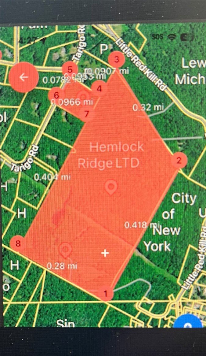 Land in Fleischmanns, New York, United States 2 - 17420517