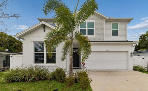 House in Tampa, Florida, United States 1