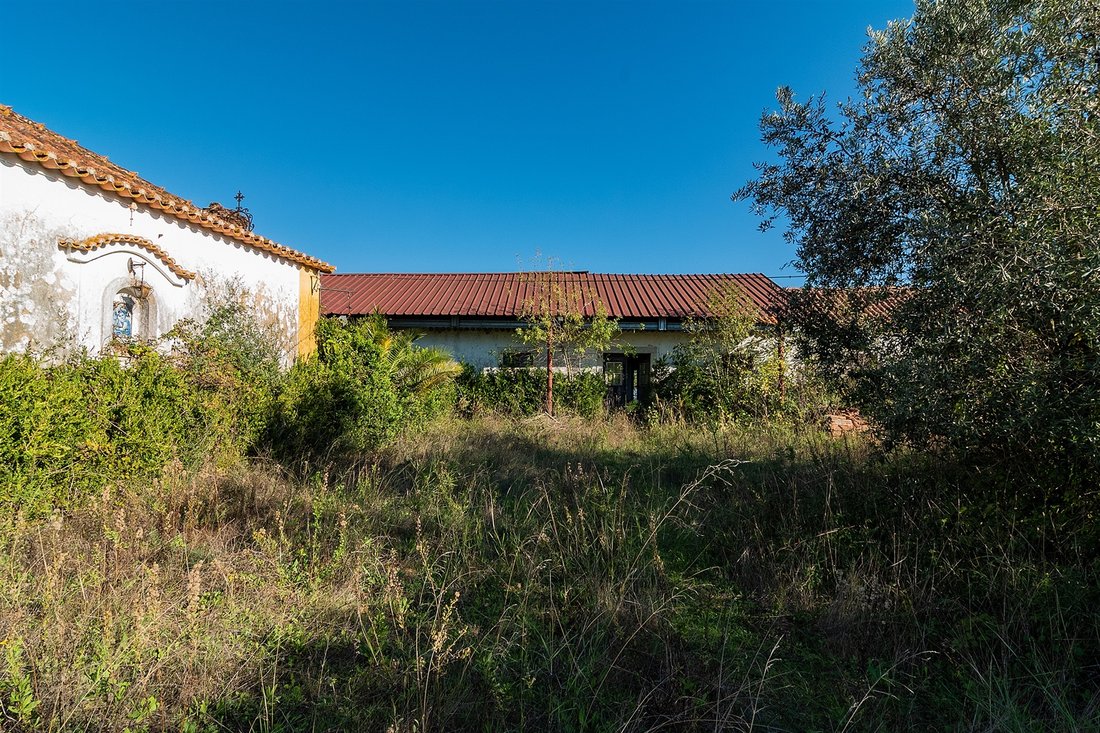 Farm Ranch in Achete, Azoia de Baixo e Povoa de Santarem, Santarem District, Portugal 4 - 17412617