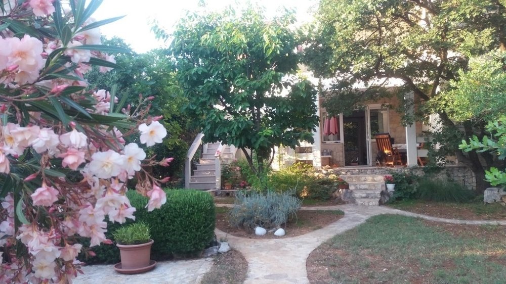 Novalja, Croatia 3 - 17411246