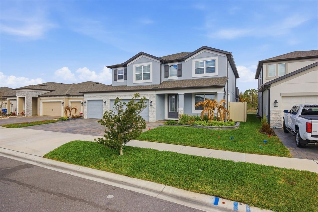 House in Wesley Chapel, Florida, United States 3 - 17417313