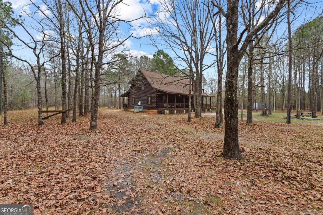 Farm Ranch in Hawkinsville, Georgia, United States 5 - 17411619