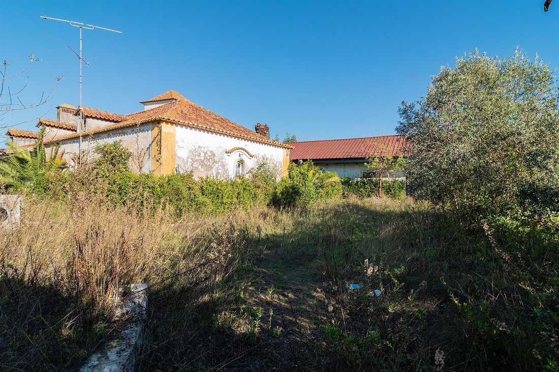 Farm Ranch in Achete, Azoia de Baixo e Povoa de Santarem, Santarem District, Portugal 2 - 17412617