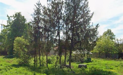 Land in Popești-Leordeni, Kreis Ilfov, Rumänien 1