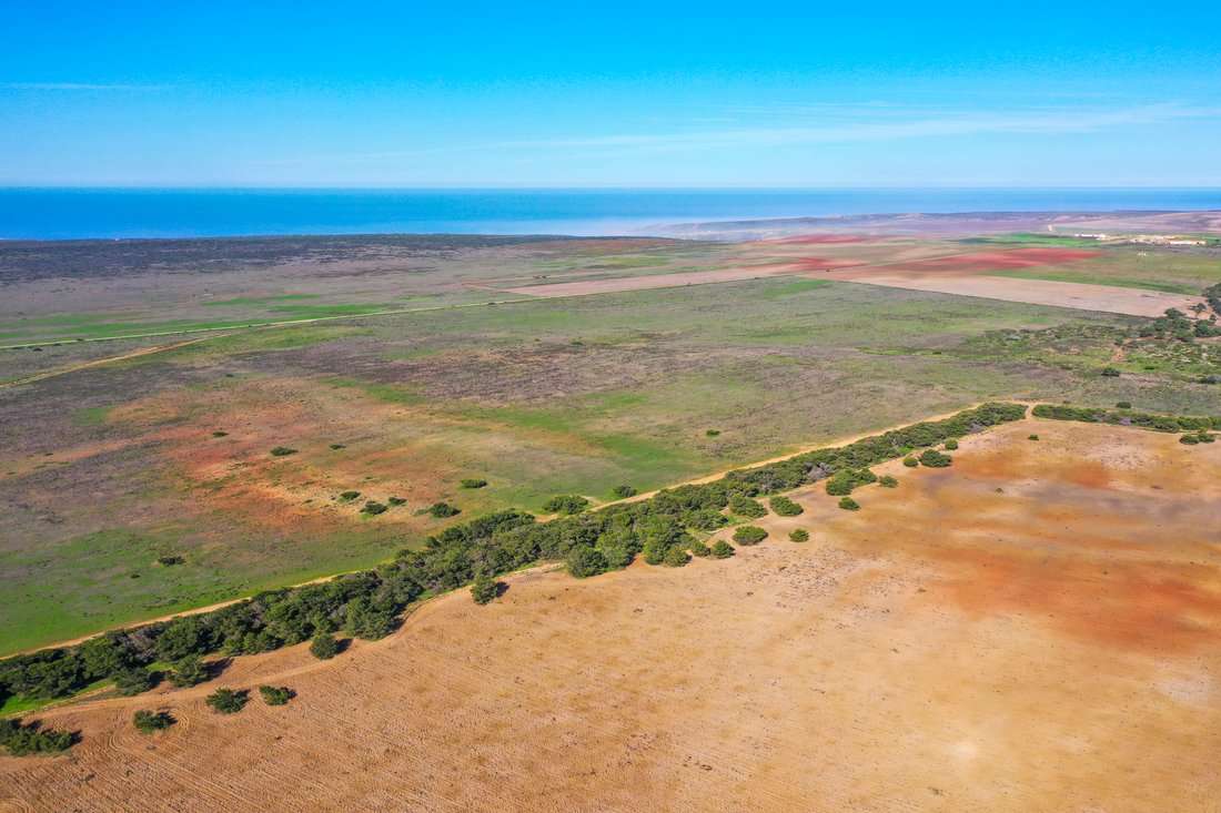 Land in Sagres, Algarve, Portugal 4 - 17408664