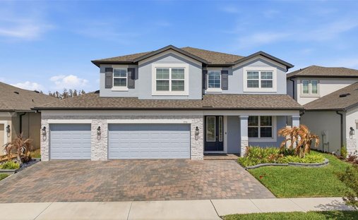 House in Wesley Chapel, Florida, United States 1