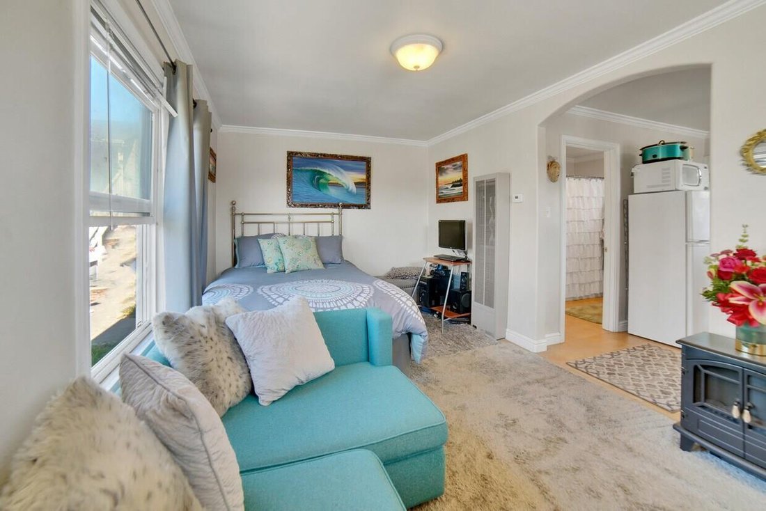 Santa Cruz, California, United States 3 - 17410024