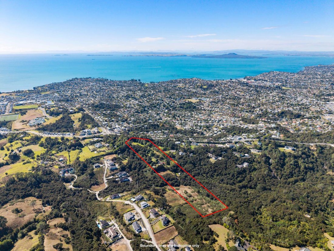 House in Auckland, Auckland, New Zealand 3 - 15408798