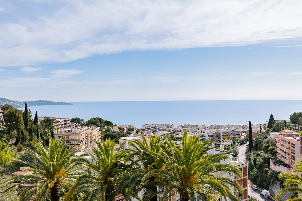 Apartment in Lanterne, Nice, France 2 - 17408176