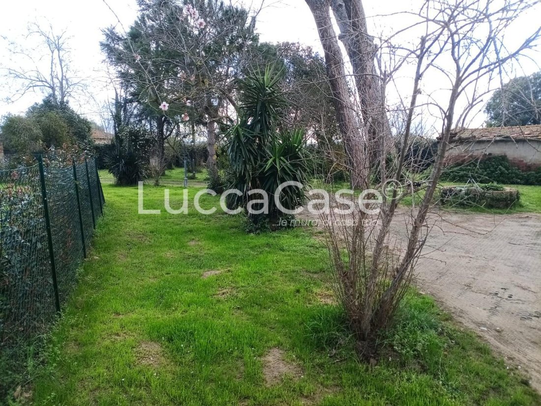 Estate in Cecina Centro, Cecina, Tuscany 5 - 17409793
