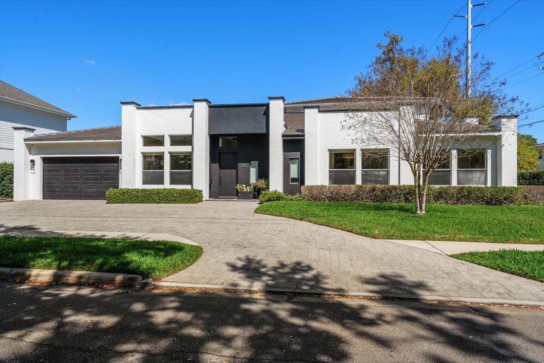 House in Tampa, Florida, United States 1 - 17415984