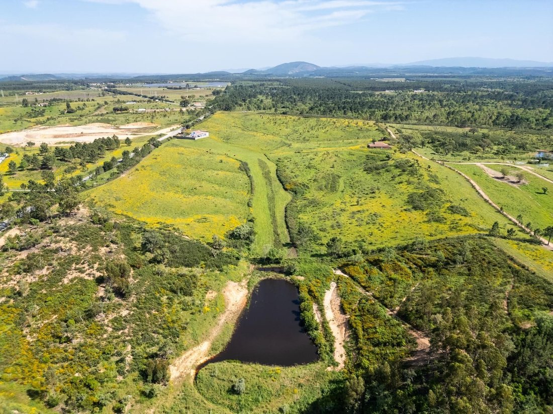 Land in S.Teotónio, Beja District, Portugal 3 - 17414417