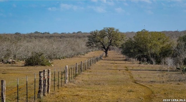 Farm Ranch in Leesville, Texas, United States 3 - 17416959