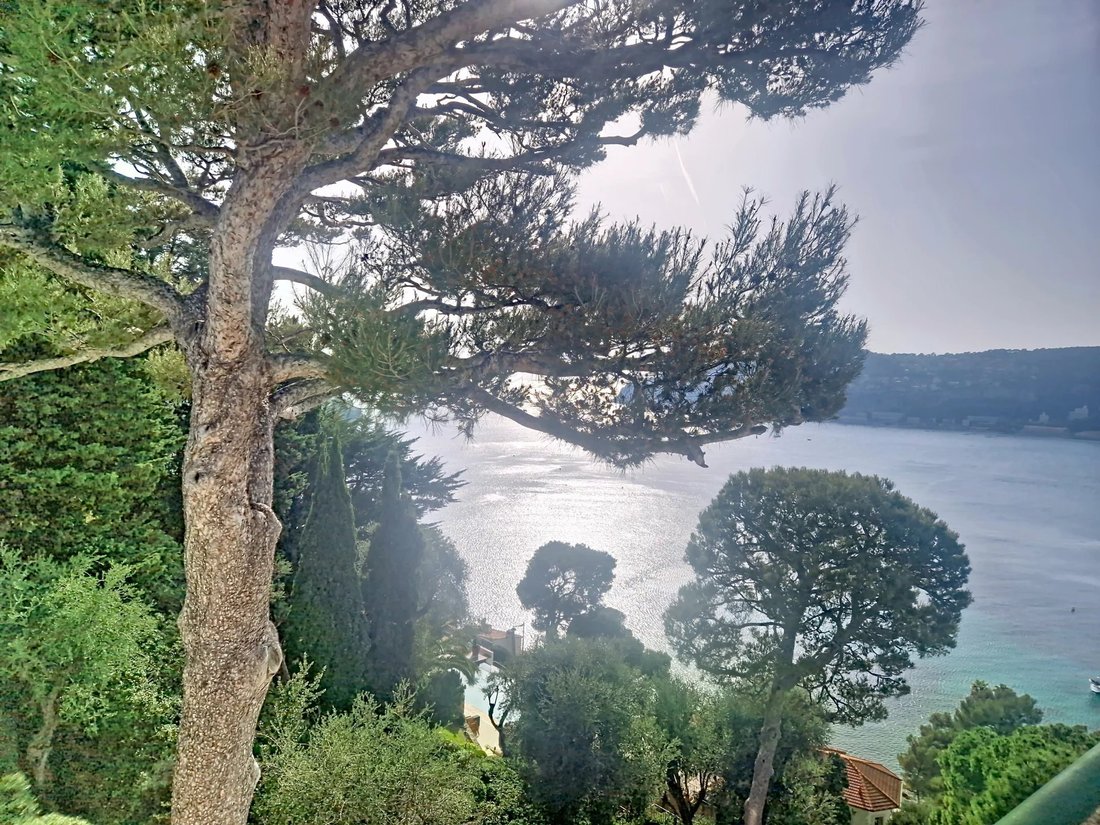 Villa in Saint-Jean-Cap-Ferrat, Provence-Alpes-Côte d'Azur, France 5 - 17417724