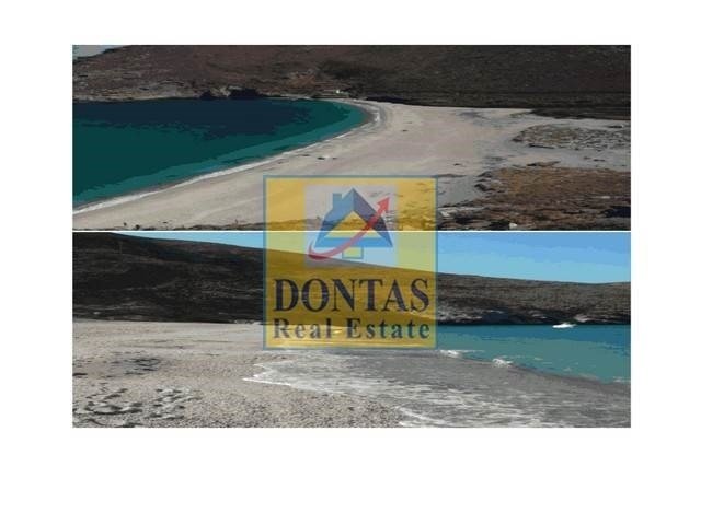 Land in Andros, Aegean, Greece 5 - 16156125