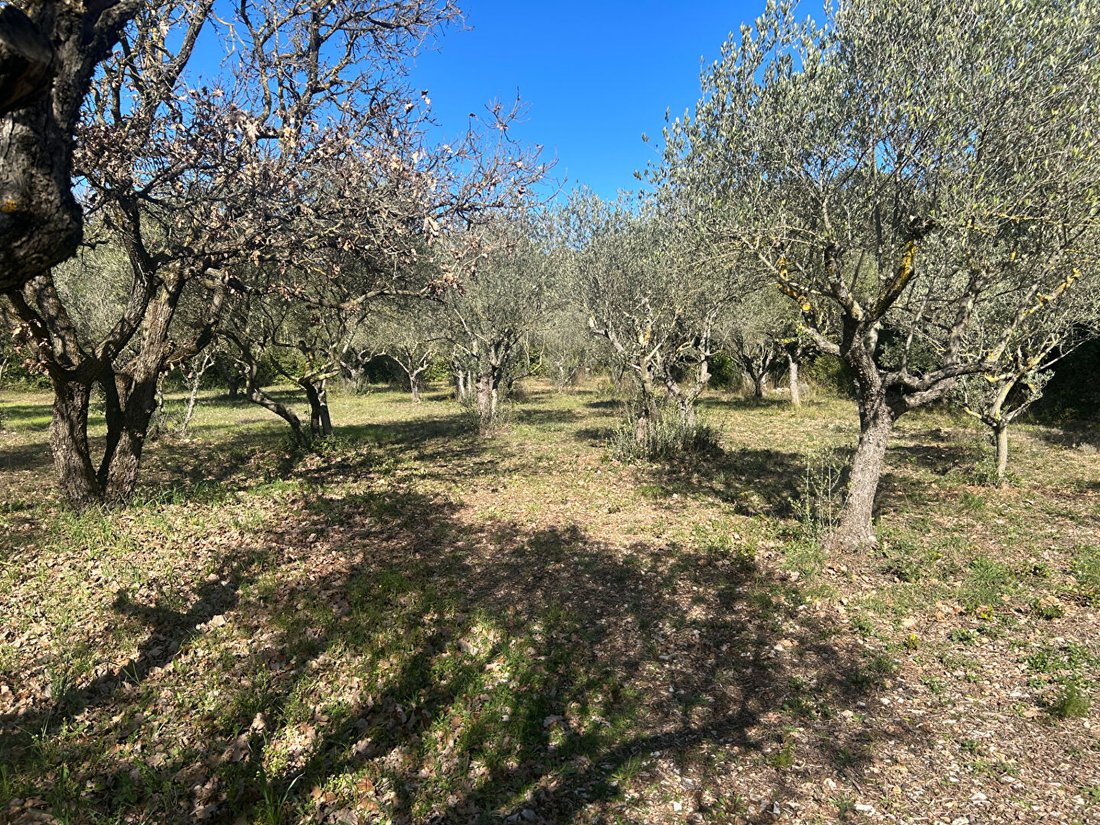 Villa in Brignoles, Provence-Alpes-Côte d'Azur, France 5 - 17414306