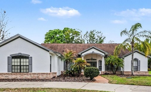 House in Lutz, Florida, United States 1