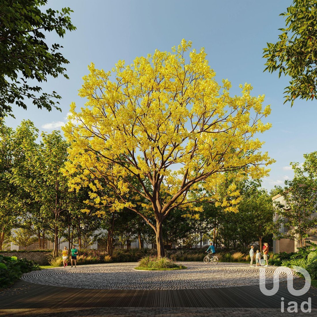 Land in Zapopan, Jalisco, Mexico 2 - 17416398